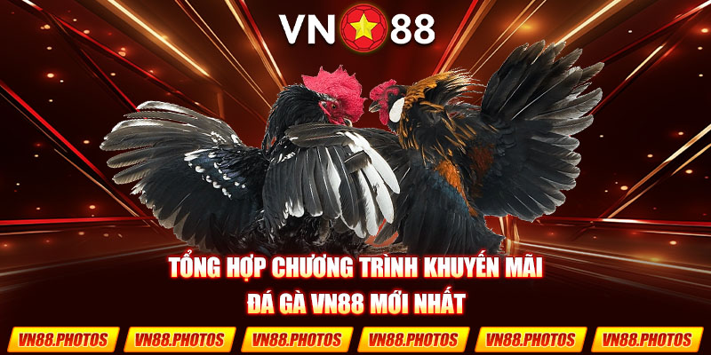 khuyến mãi đá gà vn88