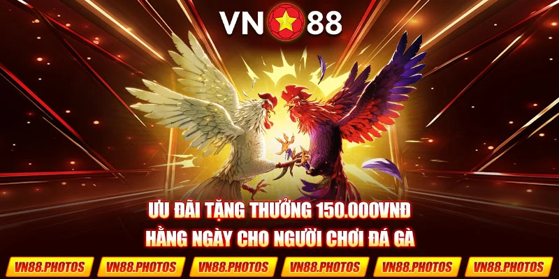 Chương trình khuyến mãi đá gà tăng 50.000VNĐ cho các tân thủ