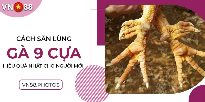 Cách săn lùng gà 9 cựa hiệu quả nhất cho người mới