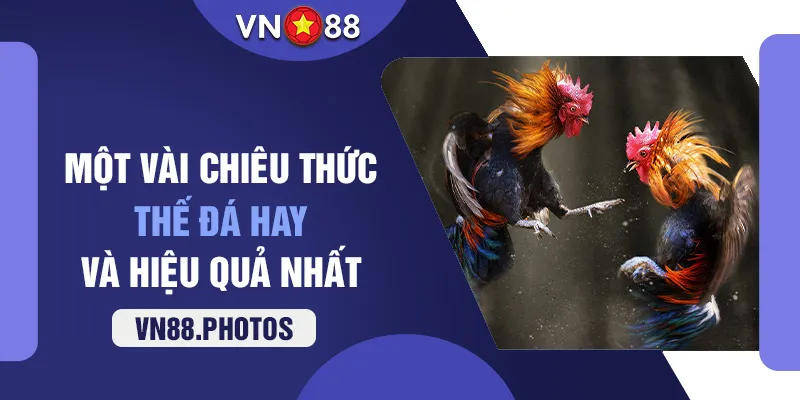 Một vài chiêu thức, thế đá hay và hiệu quả nhất